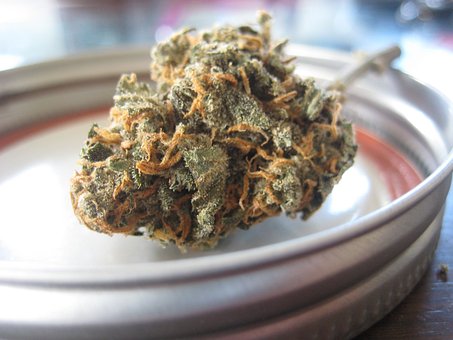 flowers cbd